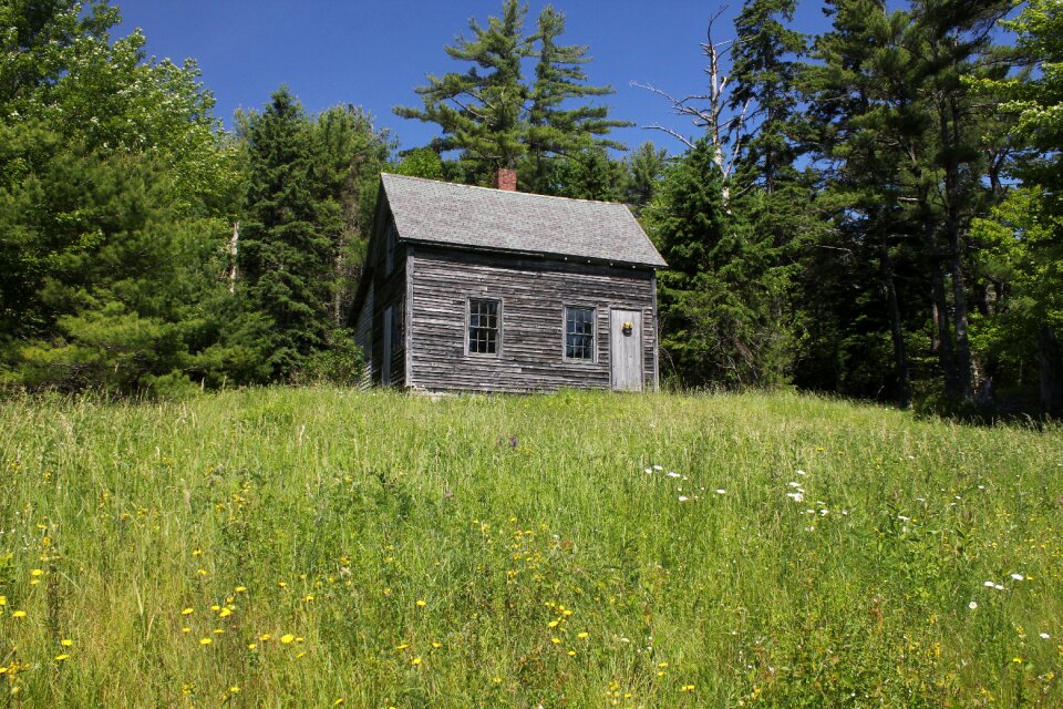 House landscape nature