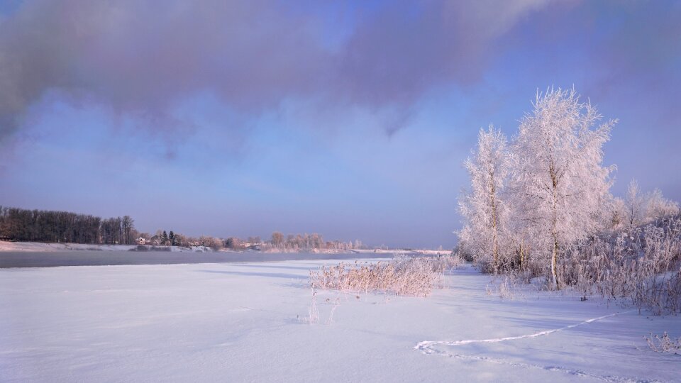 Frozen coldly nature photo