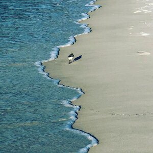 Sea travel