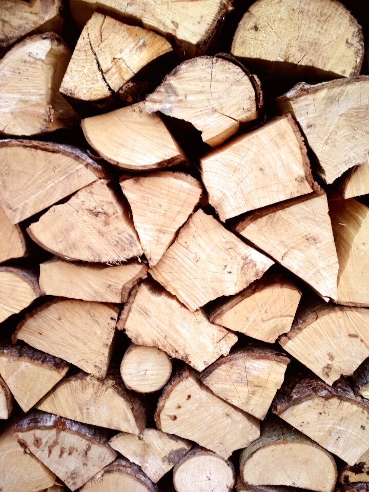 Model the bark tree
