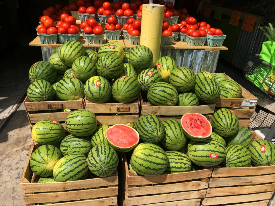 Fruit agriculture