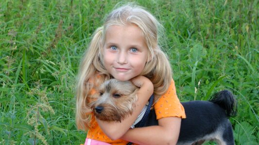 Nature little dog