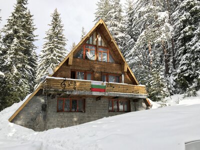 Forest planinarska songs winter