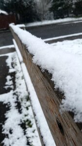Cold nature frost