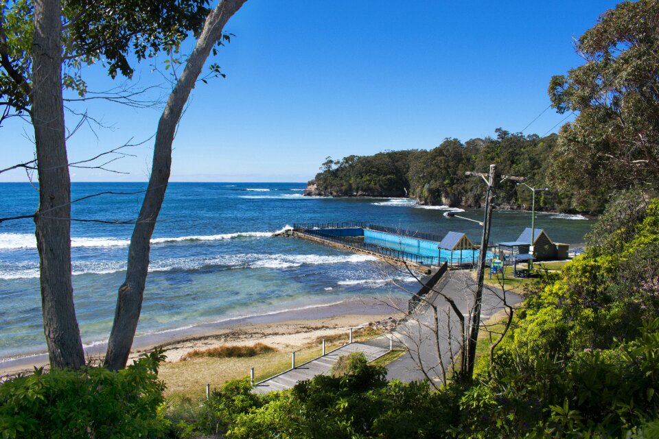 Tree sea ulladulla