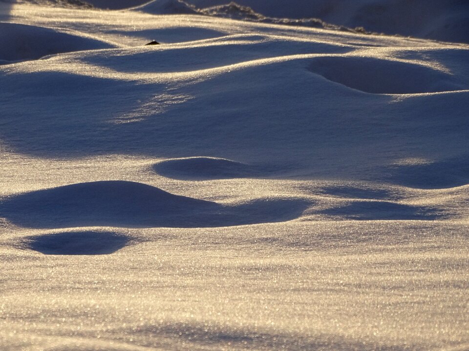 Landscape nature snow