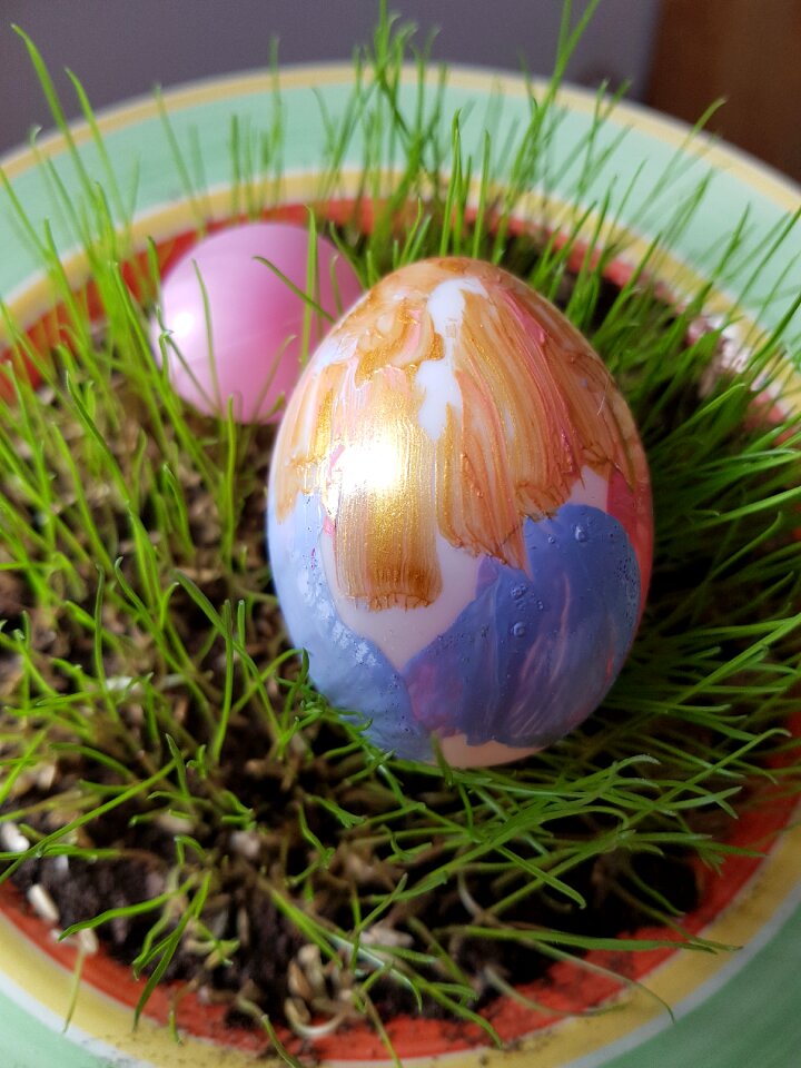 Egg food easter egg photo