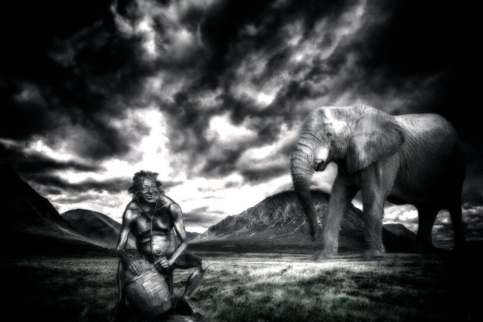 Elephant bacchus Free photos