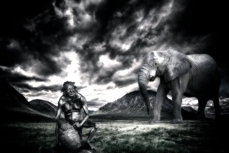 Elephant bacchus Free photos