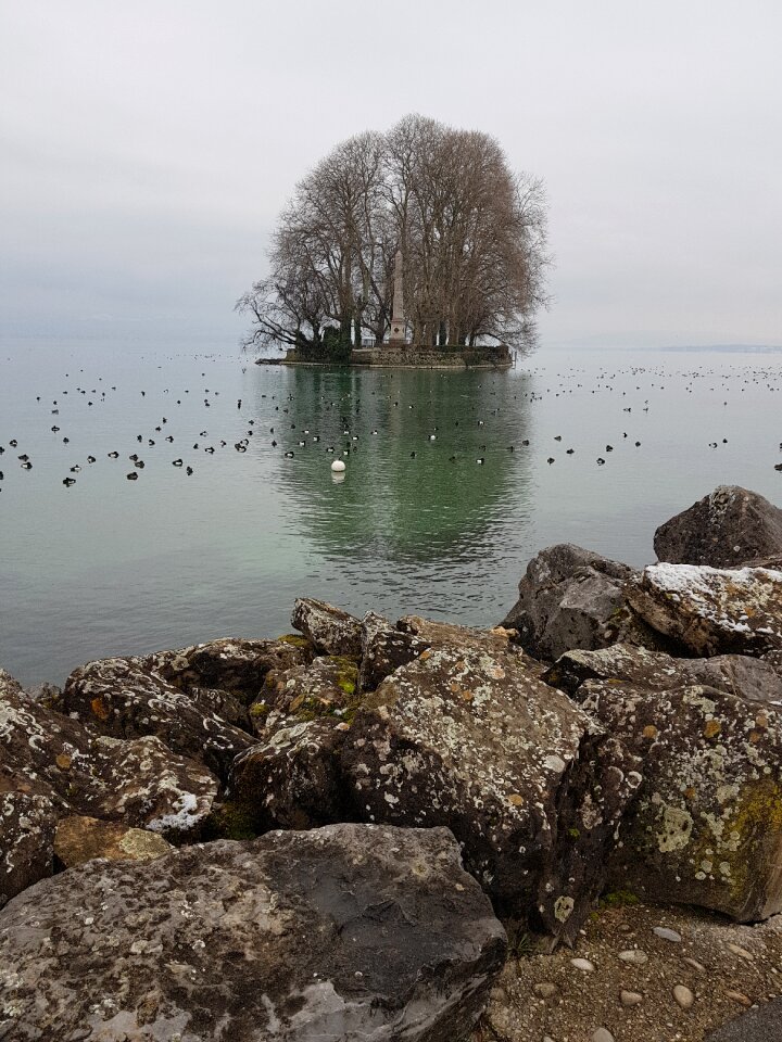 Sea nature rock