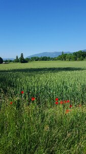 Ain landscape outdoor