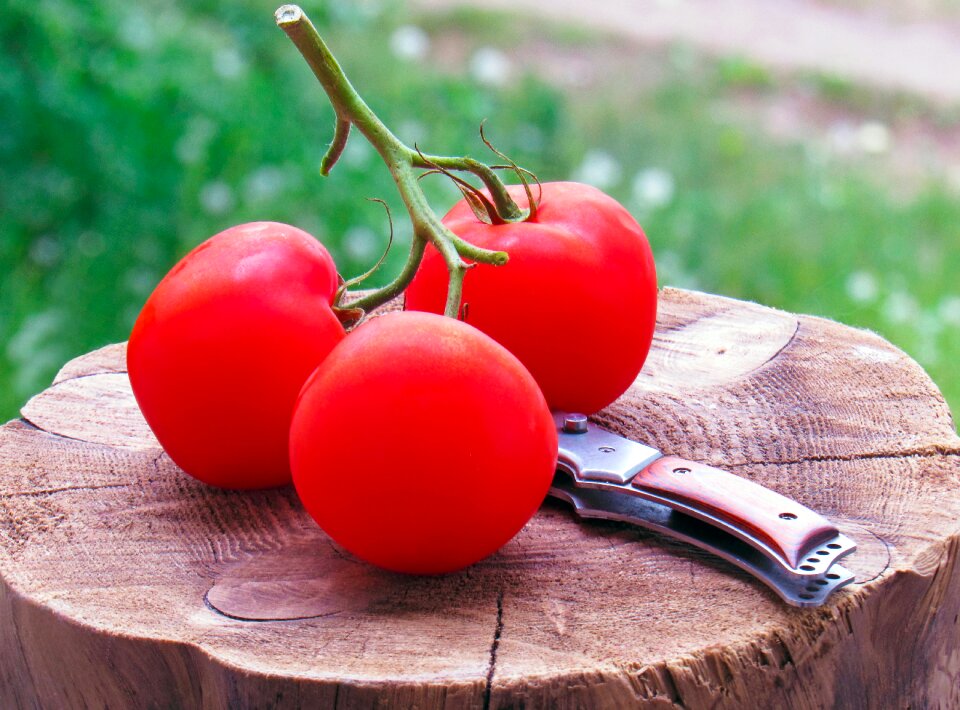 Tomato still life nutrition photo