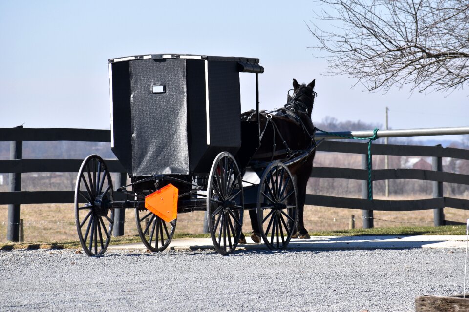 Ohio horse transportation