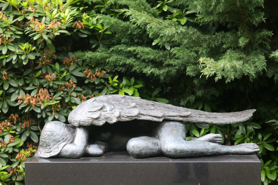 Wood tree stone
