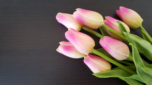 Plant beauty posy photo