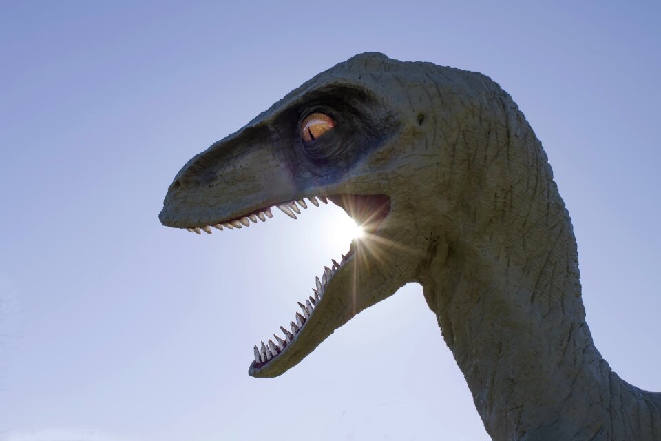Jurassic wildlife blue dinosaur