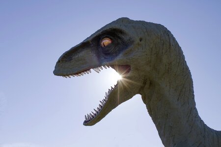 Jurassic wildlife blue dinosaur