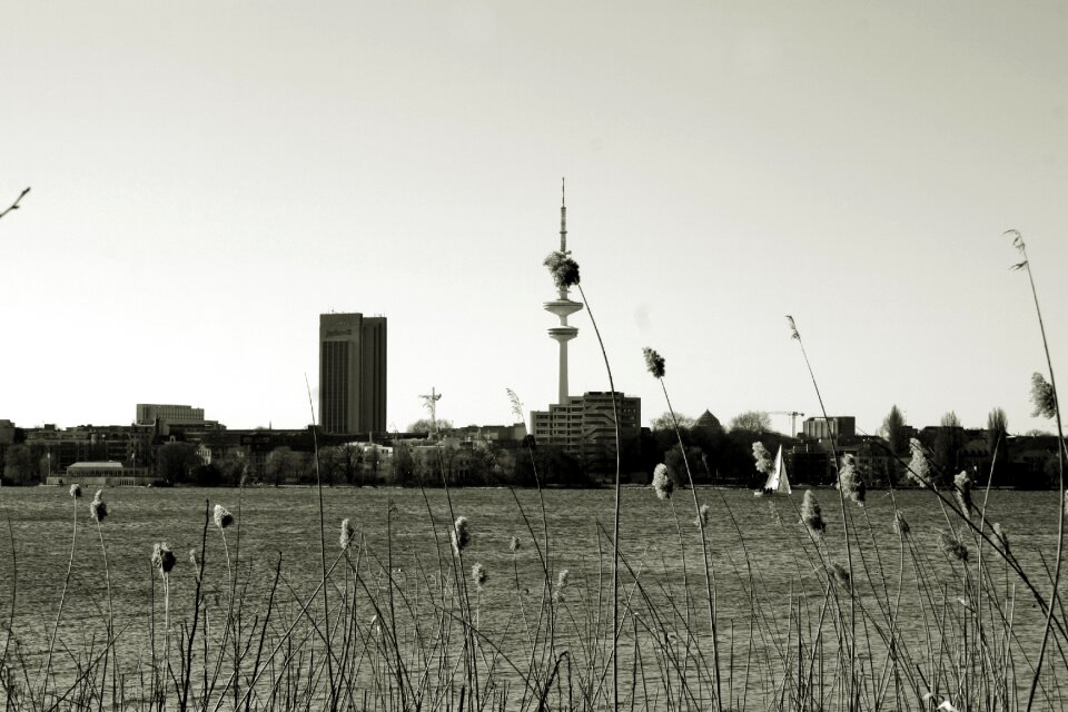 Hamburgensien walk in the park tele michel