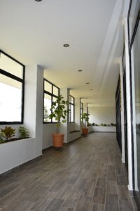 In window room