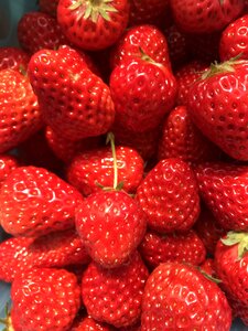Sweet strawberry berry photo