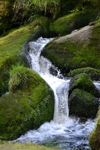 Nature cascade moss