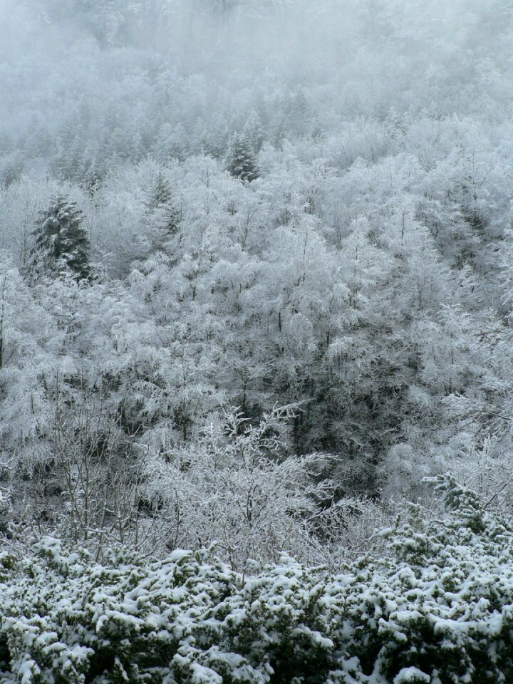 Winter snow frozen