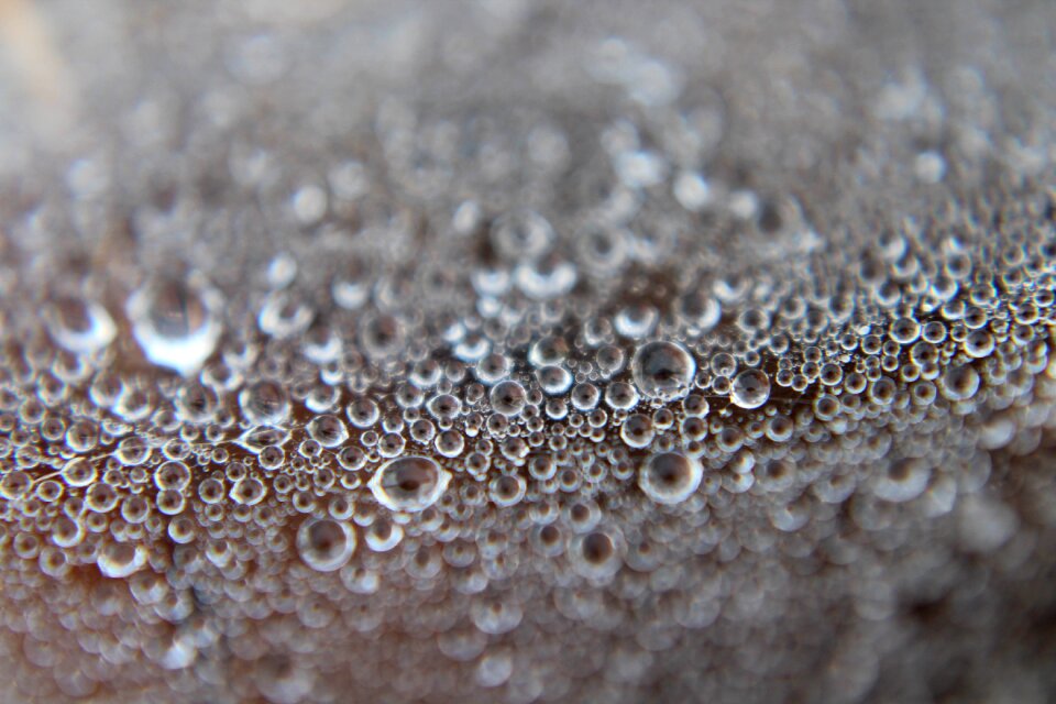 Abstract dewy droplets