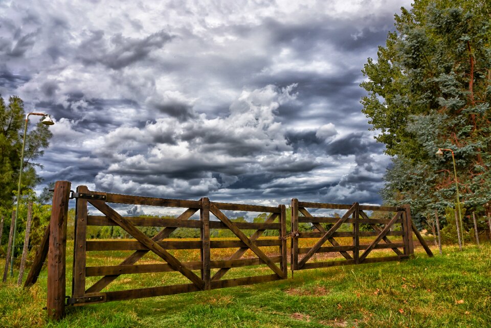 Tree landscape gate