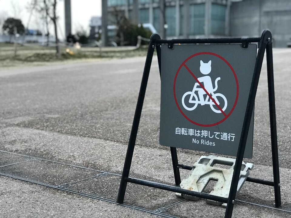 Street outdoor Free photos