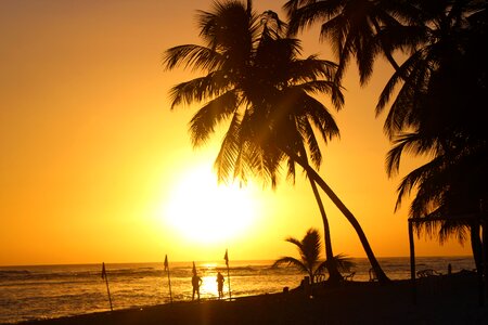 Coast sand dusk photo