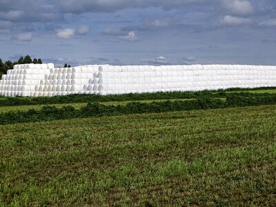Sky products alfalfa