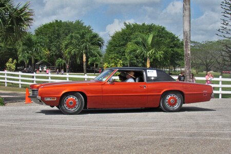 Orange old clean