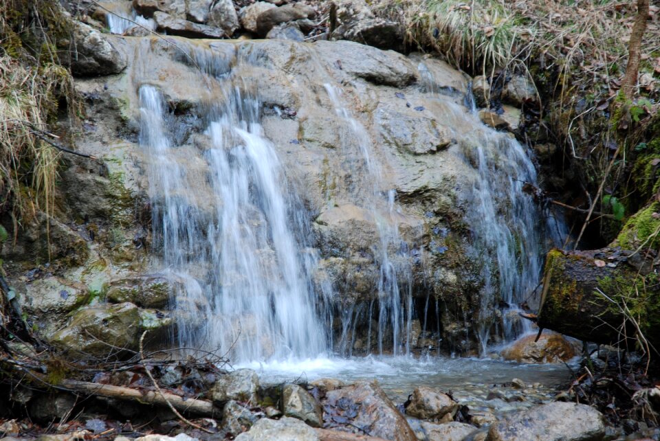 River wood stone
