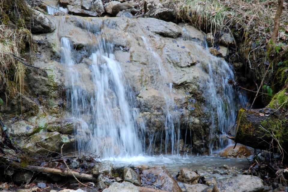 River wood stone photo