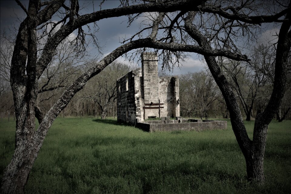 Landscape grass wood photo