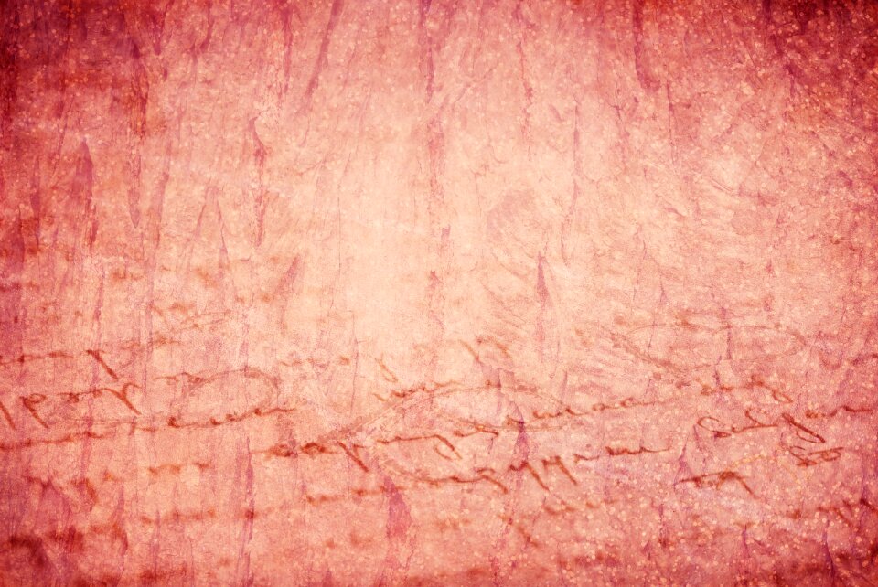 Vintage grunge decorative