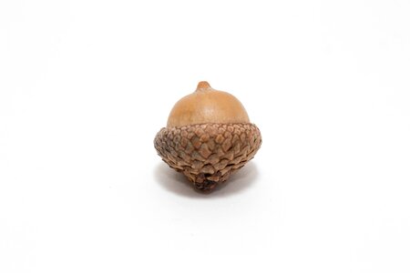 Nature food