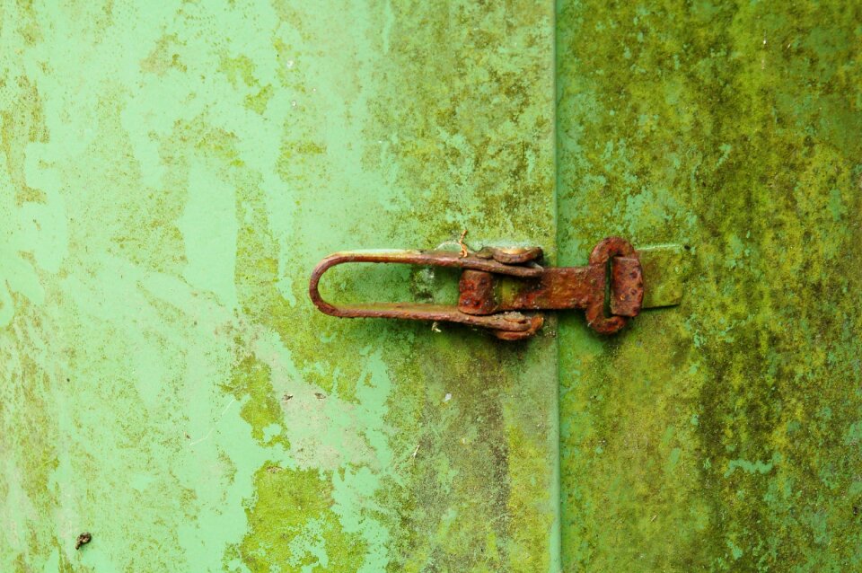 Lock trash can moss