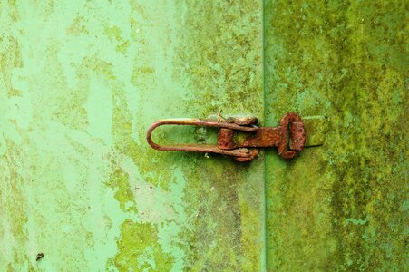 Lock trash can moss