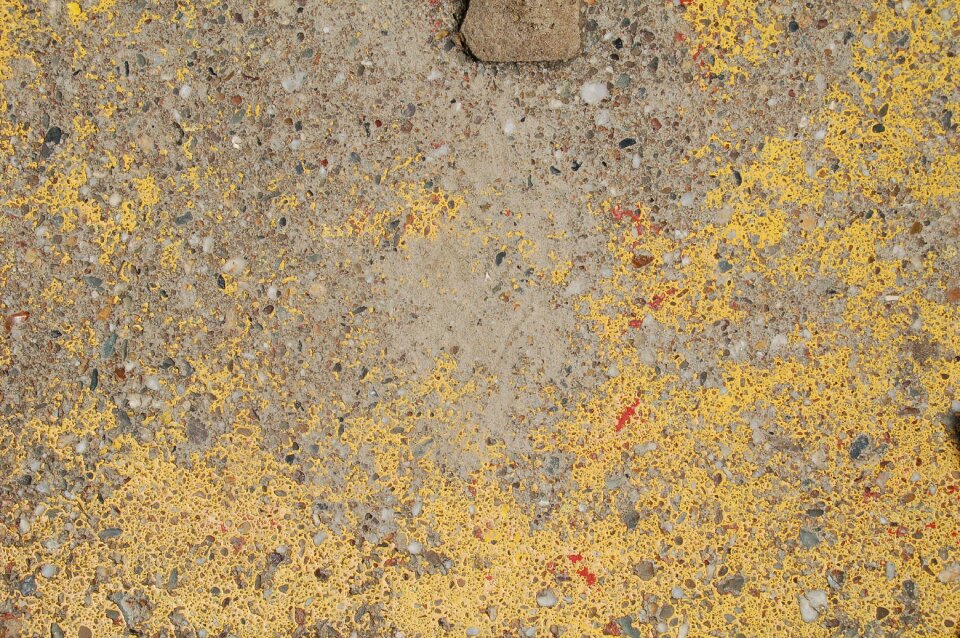 Concrete background grey