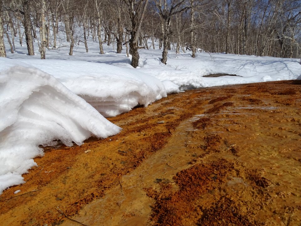 Creek bright day heat photo