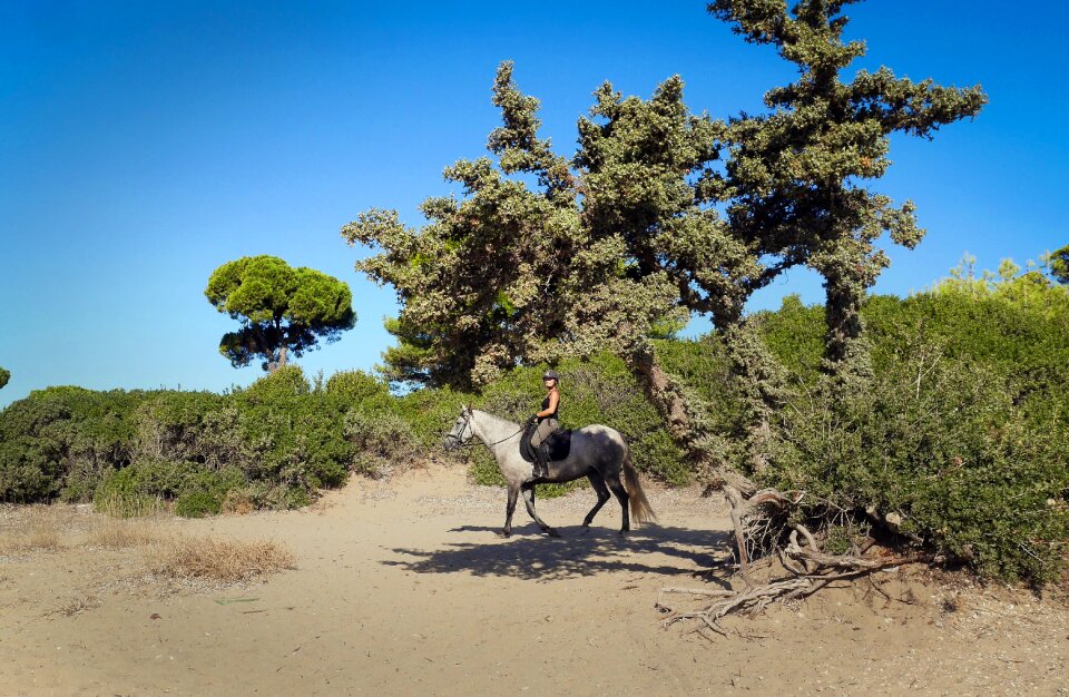 Landscape desert outdoors