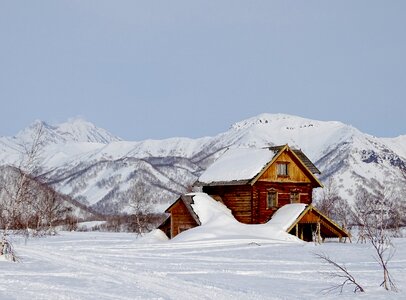 Cottage trumpet snowdrift photo