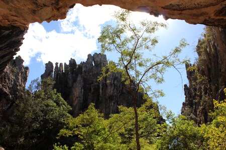 Trip rock tree