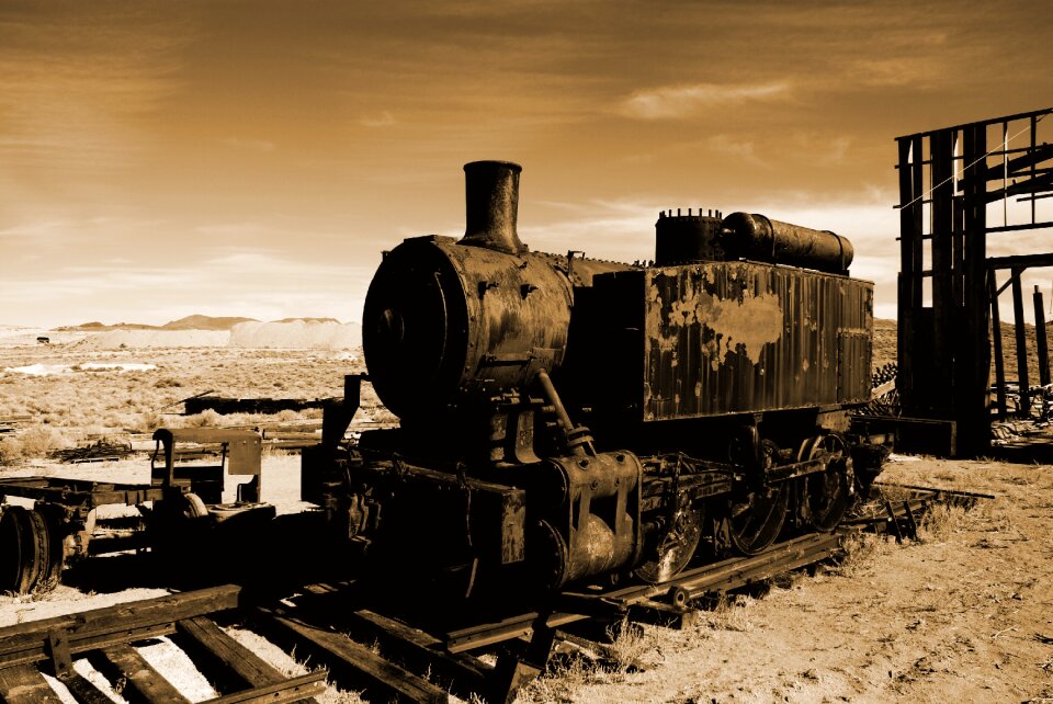 Engine transportation system brown train