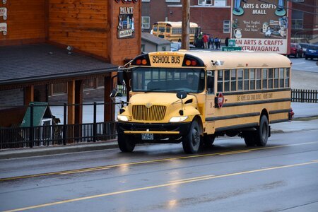 Bus school bus photo