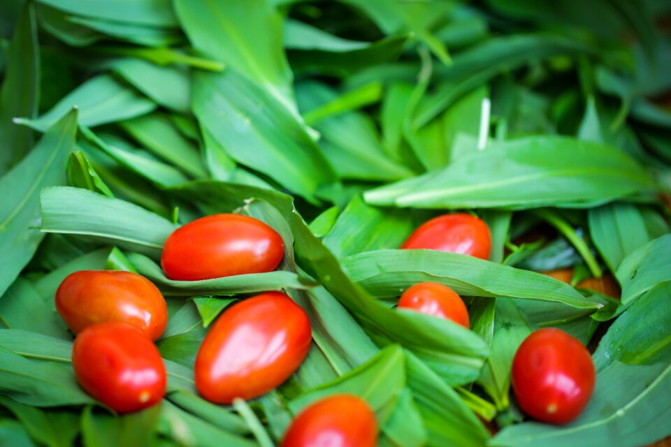 Vegetables leaf fresh