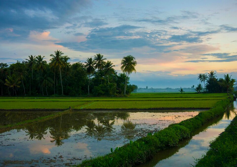 Reflection lake sawah