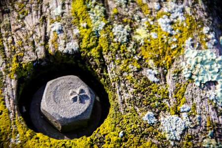 Old screw rustic