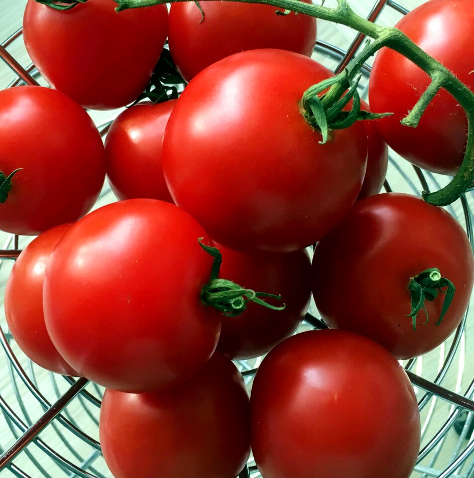Tomato grow vegetables
